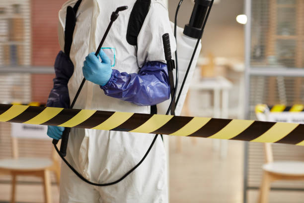 Professional Sewage Cleanup technician working in High Bridge, NJ